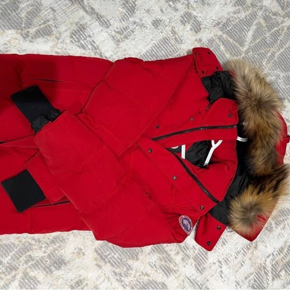 Canada goose, in a good condition. - Picture 3 of 4